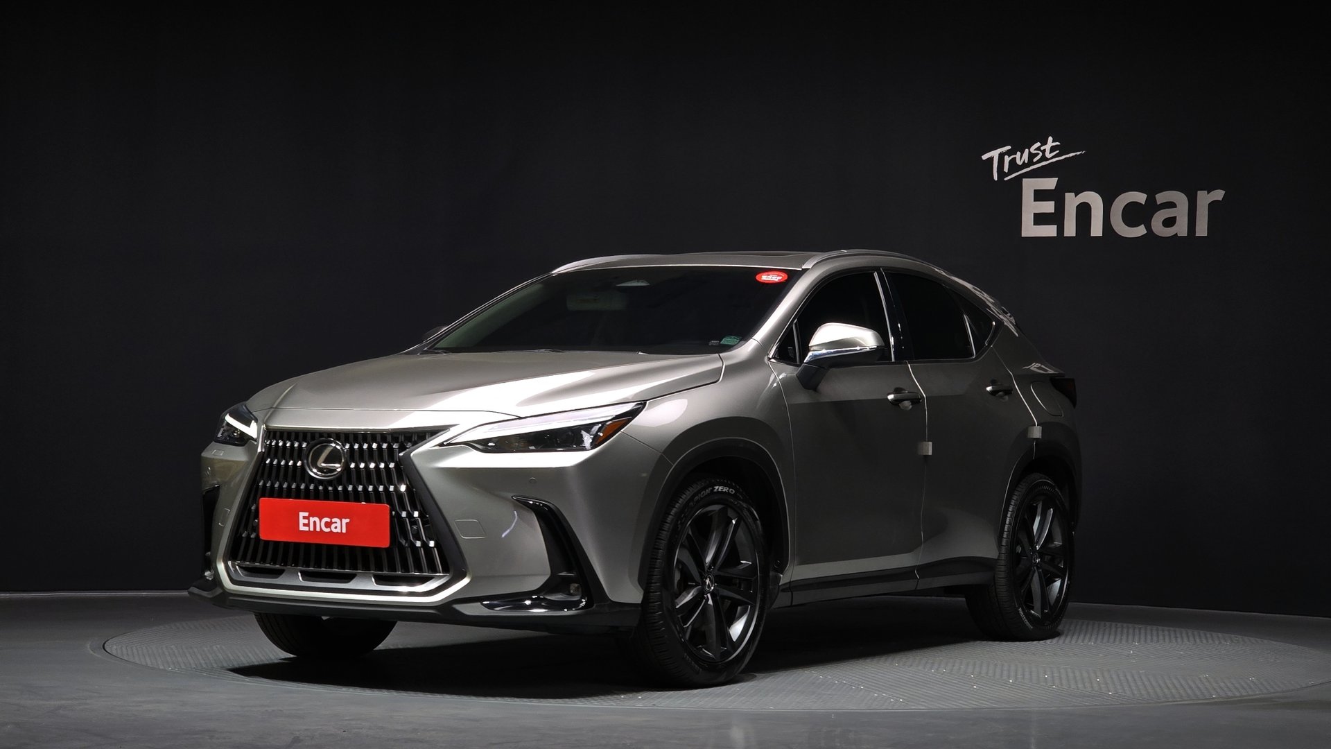 LEXUS NX - View 1