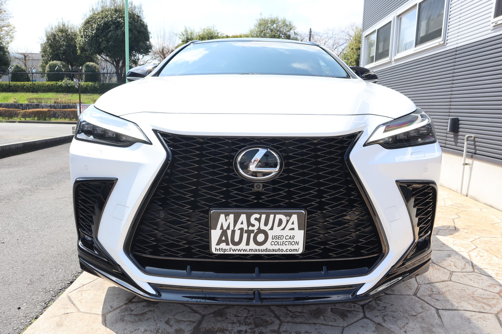 LEXUS NX - View 1