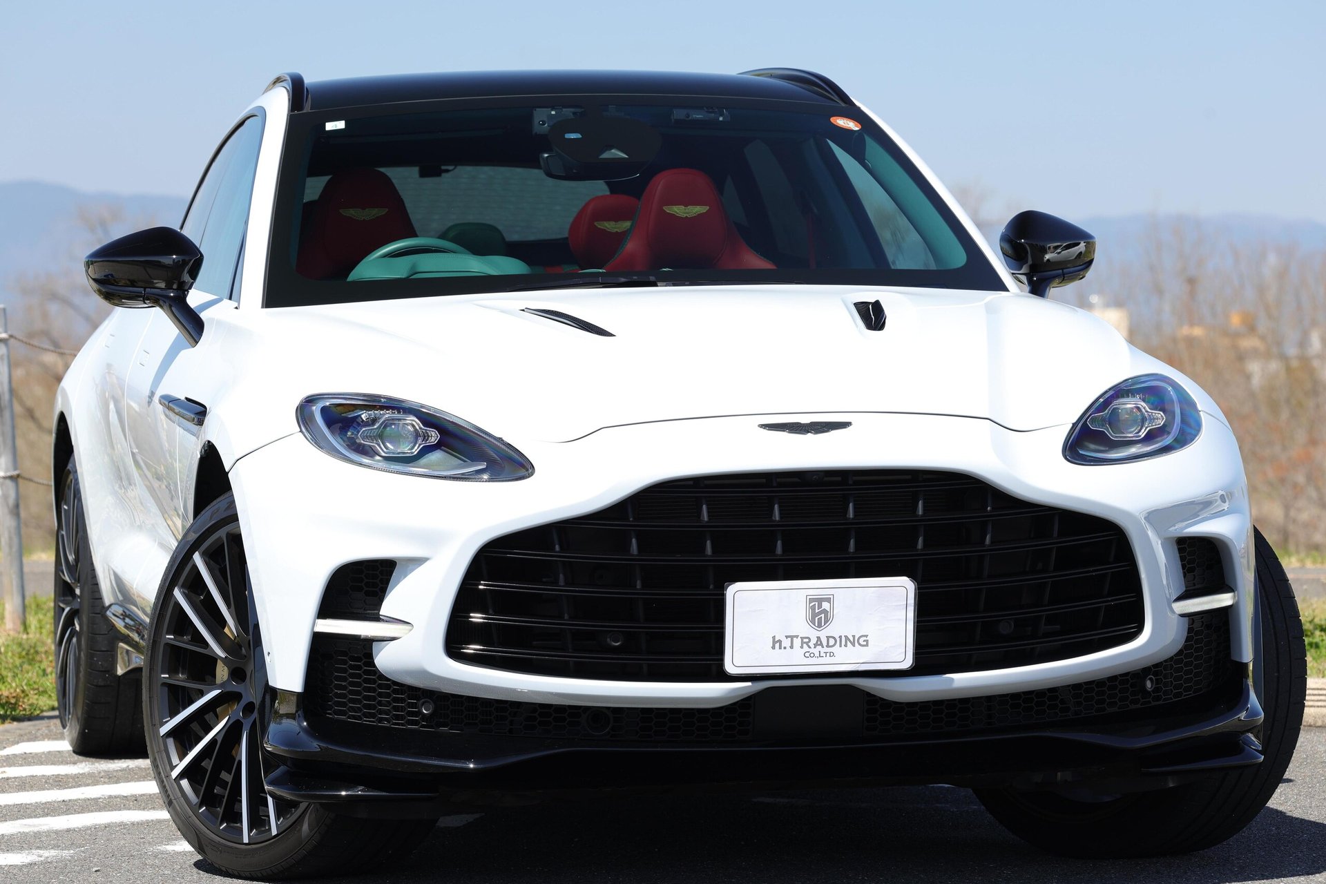 ASTON MARTIN DBX - View 1