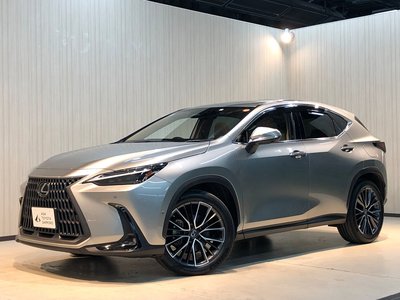 LEXUS NX - 1