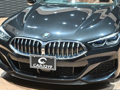 2021 BMW 8 SERIES CABRIOLET — миниатюра 28