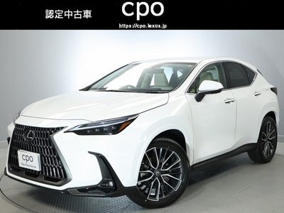 LEXUS NX - 1
