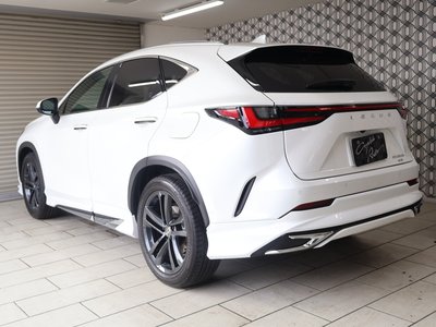 2023 Lexus NX 照片 2