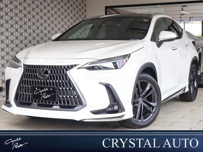 2023 Lexus NX 照片 1