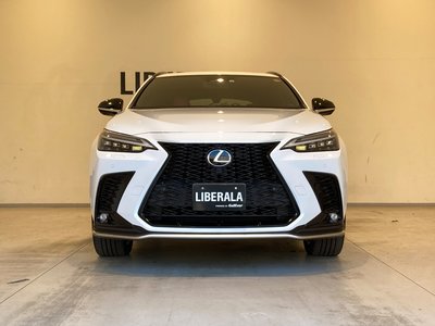 LEXUS NX - 7