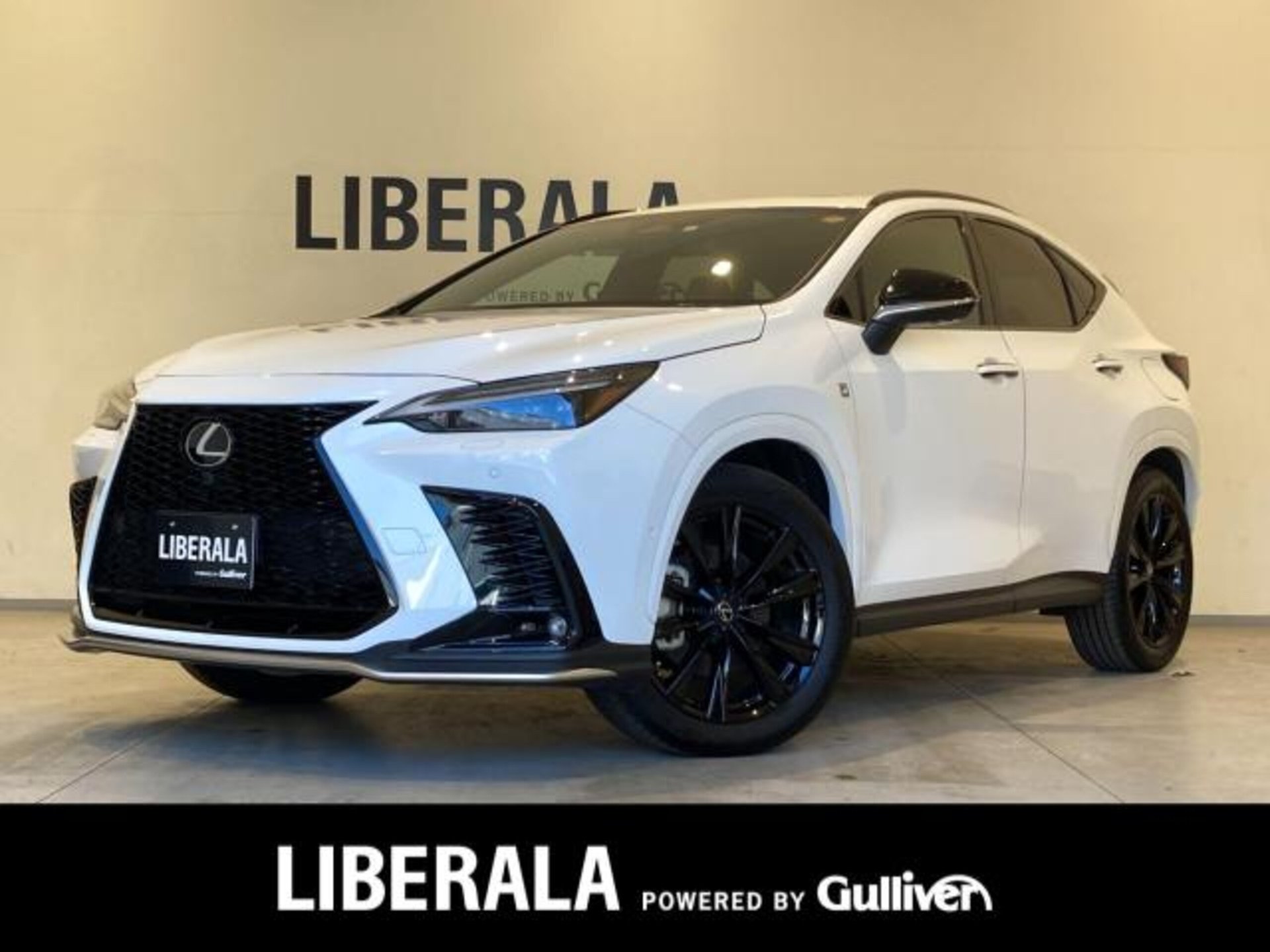 LEXUS NX - View 1