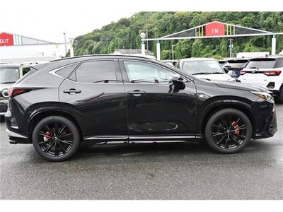 2024 Lexus NX — миниатюра 15