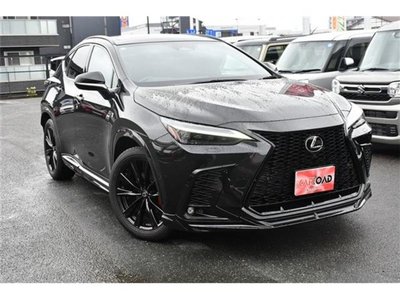2024 Lexus NX — миниатюра 47