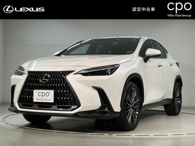 LEXUS NX - 1