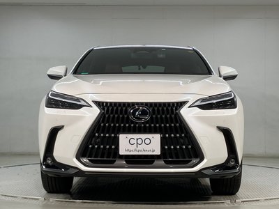 LEXUS NX - 2