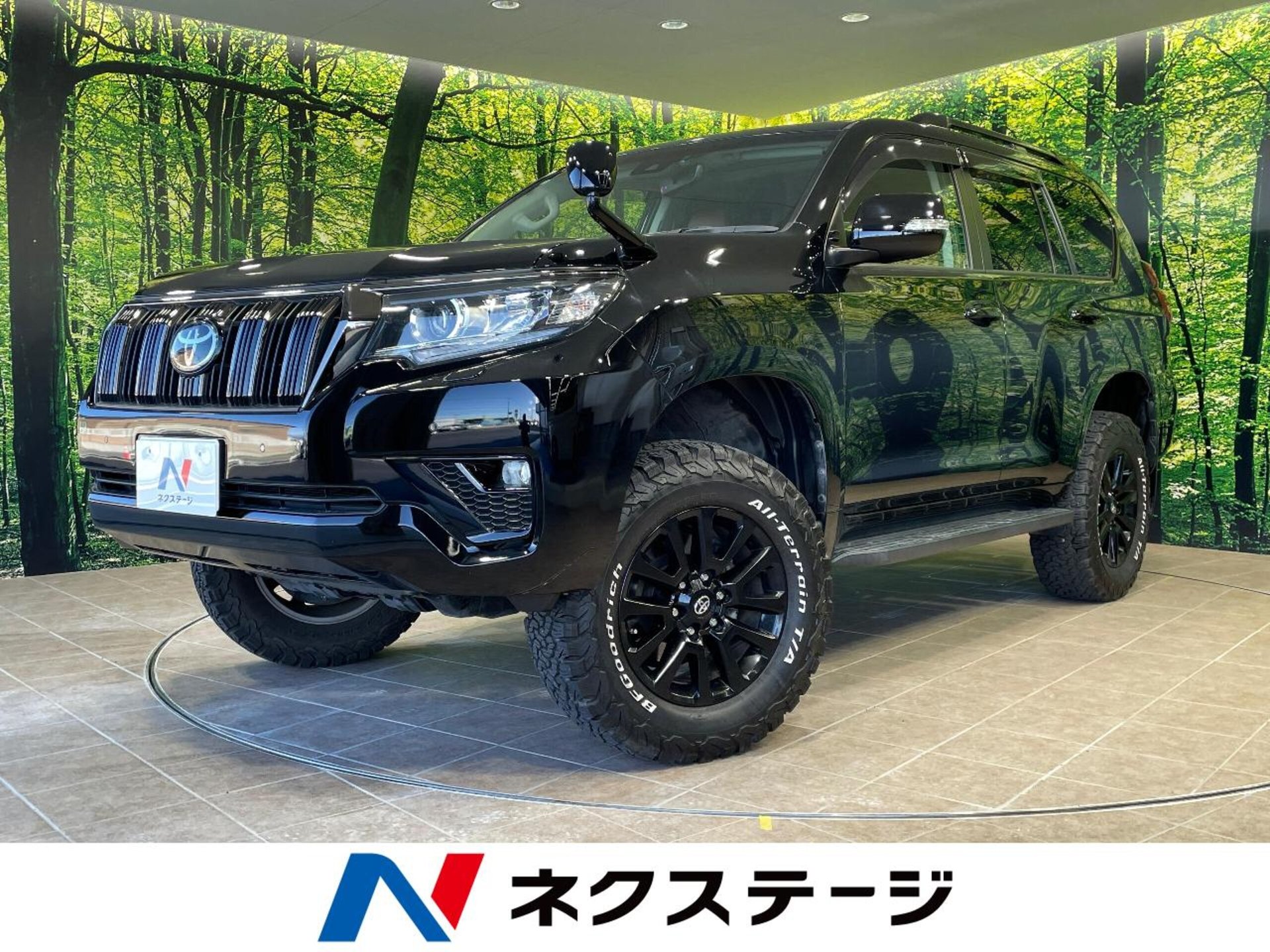 TOYOTA LAND CRUISER PRADO - View 1