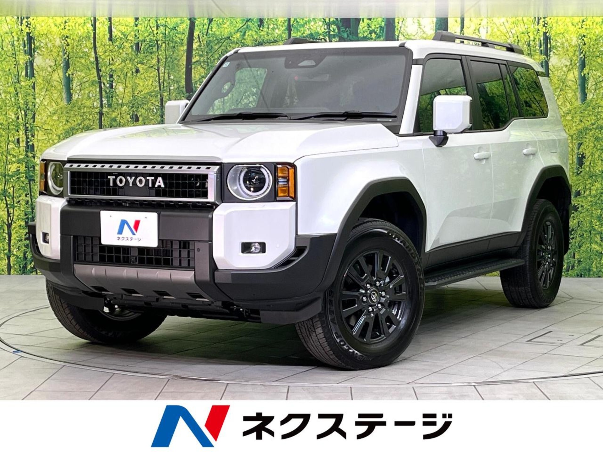 TOYOTA LAND CRUISER 250 - View 1