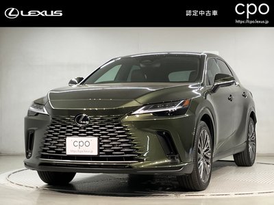 LEXUS RX - 1