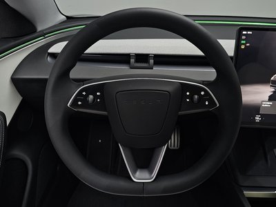 2025 Tesla MODEL 3 — миниатюра 19