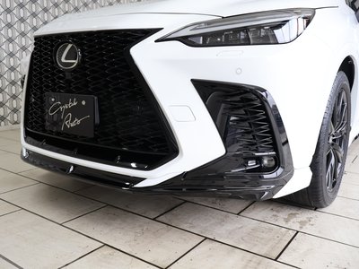LEXUS NX - 6