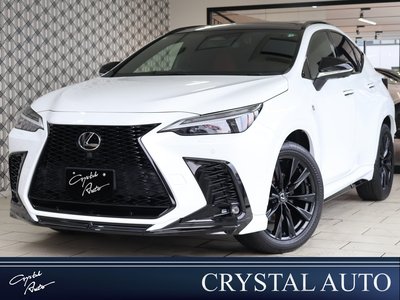 LEXUS NX - 1