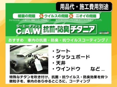 2022 Toyota ALPHARD 缩略图 39