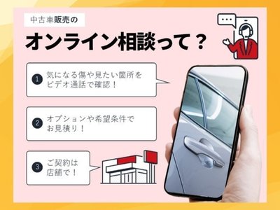 2022 Toyota ALPHARD 缩略图 27