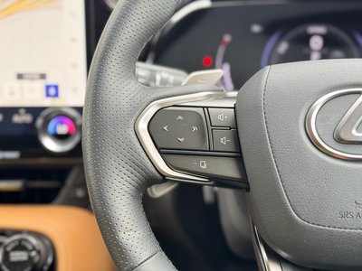 2025 Lexus NX thumbnail 59