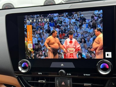 2025 Lexus NX thumbnail 68