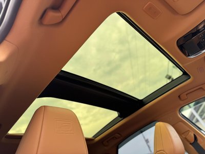 2025 Lexus NX thumbnail 6