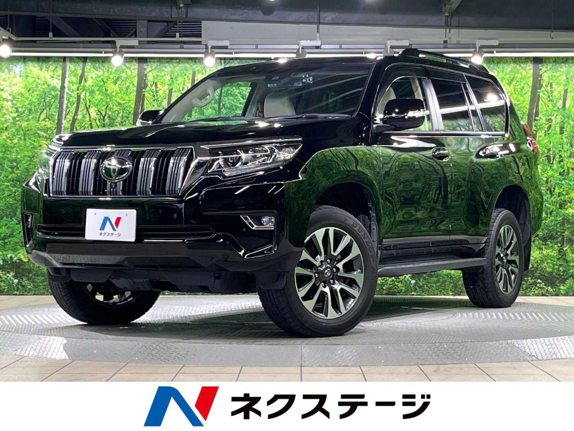TOYOTA LAND CRUISER PRADO - View 1