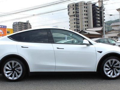2025 Tesla MODEL Y 缩略图 12