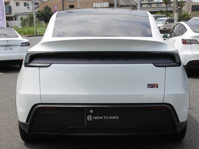 2025 Tesla MODEL Y 缩略图 14