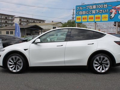 2025 Tesla MODEL Y 缩略图 11