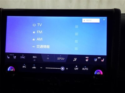 2024 TOYOTA ALPHARD 缩略图 11