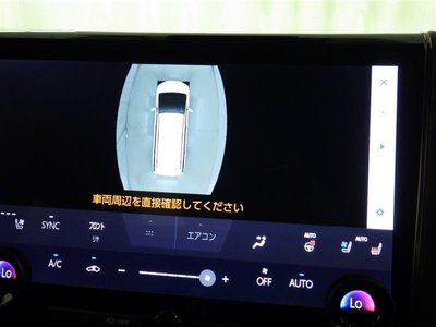 2024 TOYOTA ALPHARD 缩略图 13