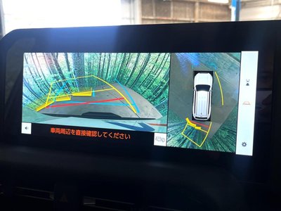 TOYOTA LAND CRUISER 250 - 5