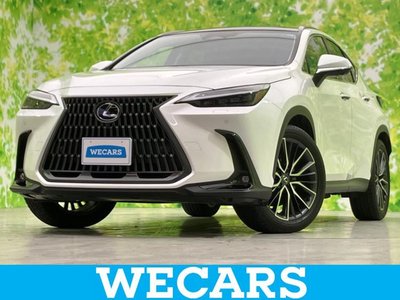 LEXUS NX - 1