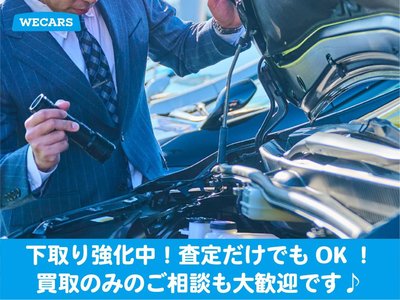 2023 Lexus NX 缩略图 66