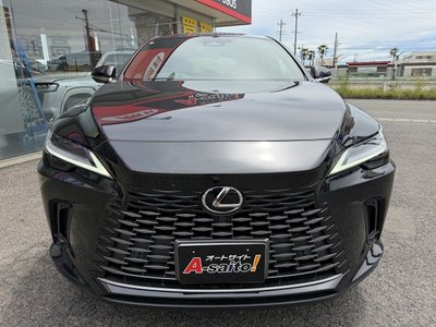 2024 Lexus RX thumbnail 18