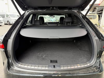 2024 Lexus RX thumbnail 56
