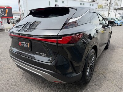 2024 Lexus RX thumbnail 23