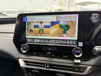 2024 Lexus RX thumbnail 45