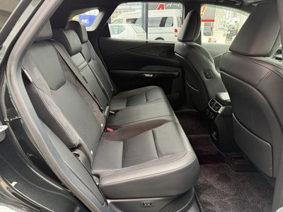 2024 Lexus RX thumbnail 52