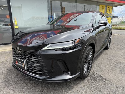 2024 Lexus RX thumbnail 19