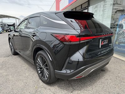 2024 Lexus RX thumbnail 21