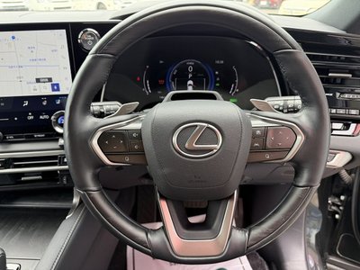 2024 Lexus RX thumbnail 36