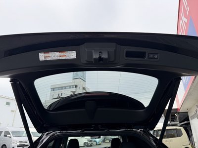2024 Lexus RX thumbnail 57