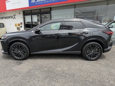 2024 Lexus RX thumbnail 20