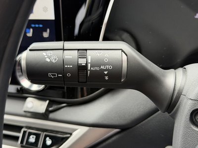2024 Lexus RX thumbnail 39