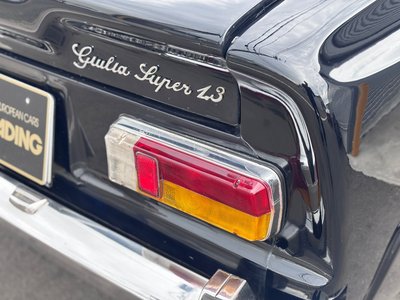 1974 ALFA Romeo JULIA — миниатюра 12