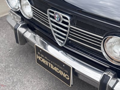 1974 ALFA Romeo JULIA photo 9
