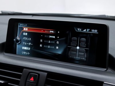 2017 BMW M2 COUPE 照片 16