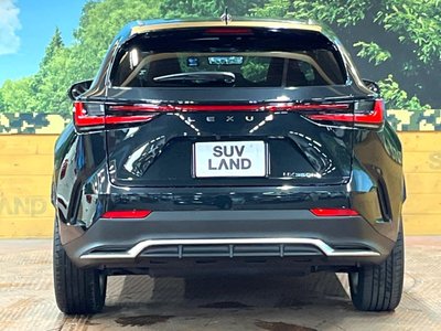 2022 Lexus NX 缩略图 15