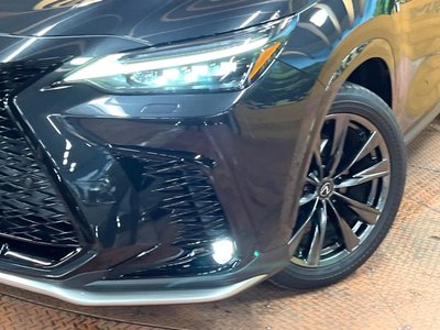 2022 Lexus NX 缩略图 12